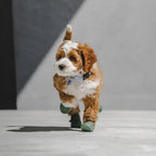 WagWellies® Mojave Hundsko, sommar