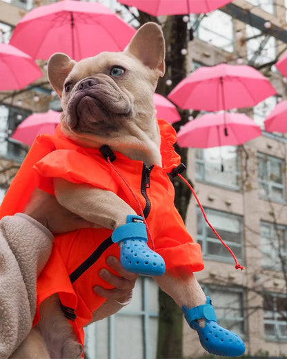WagWellies® Mojave Neon blå Wagwear