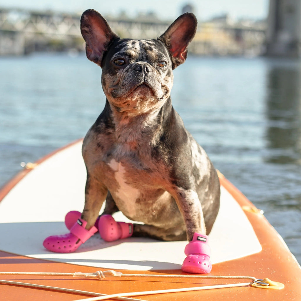 WagWellies® Mojave Hundsko, sommar