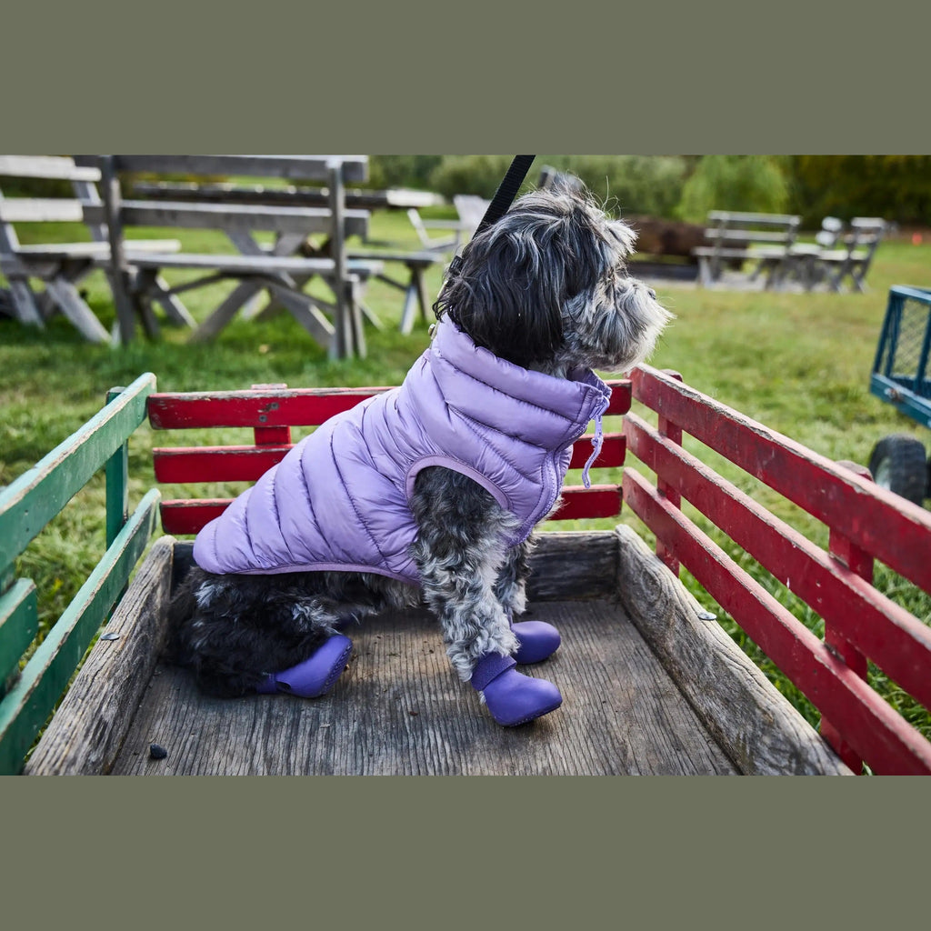 Wagwellies® hundskor Hundsko