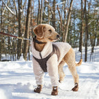 Wagwellies® hundskor Hundsko