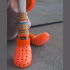 WagWellies® Mojave Hundsko, sommar