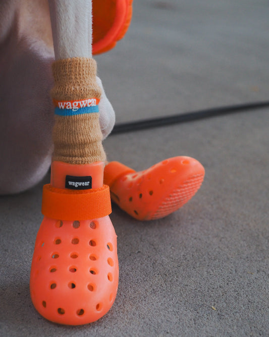 WagWellies® Mojave Neon Orange 