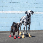 WagWellies® Mojave Hundsko, sommar