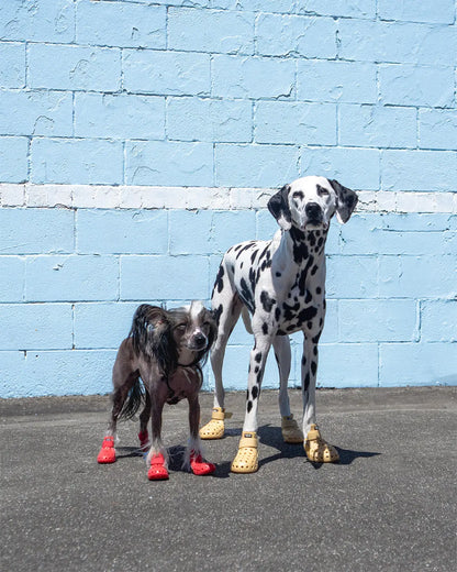 WagWellies® Mojave Neon Rosa 