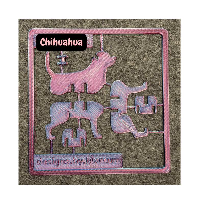 Chihuahua