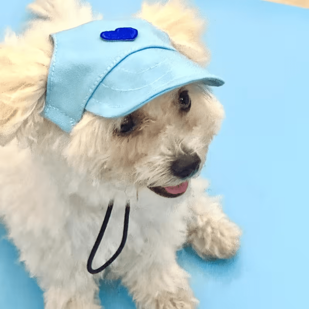 Hundkeps med hjärta Hat