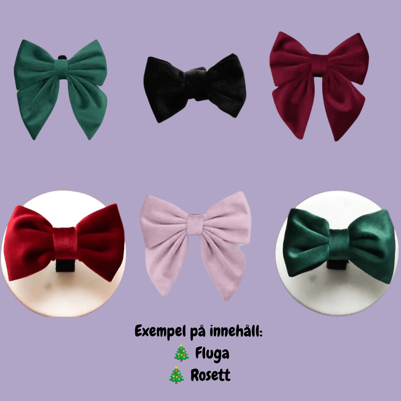 En ännu taxigare jul | Färdig julklapp för taxälskare Presentpaket
