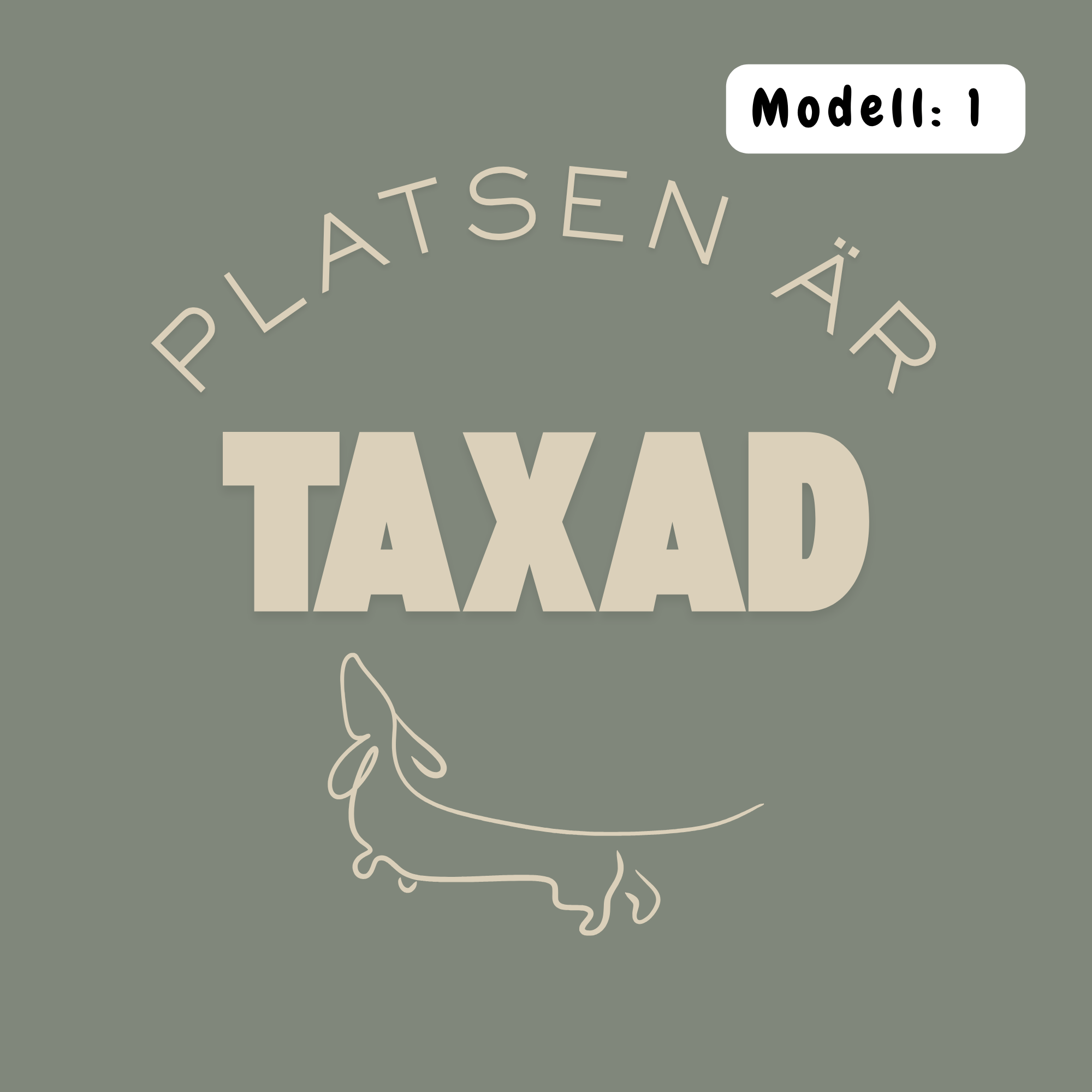 Platsen är taxad – Kuddfodral 45×45 cm Kuddfodral
