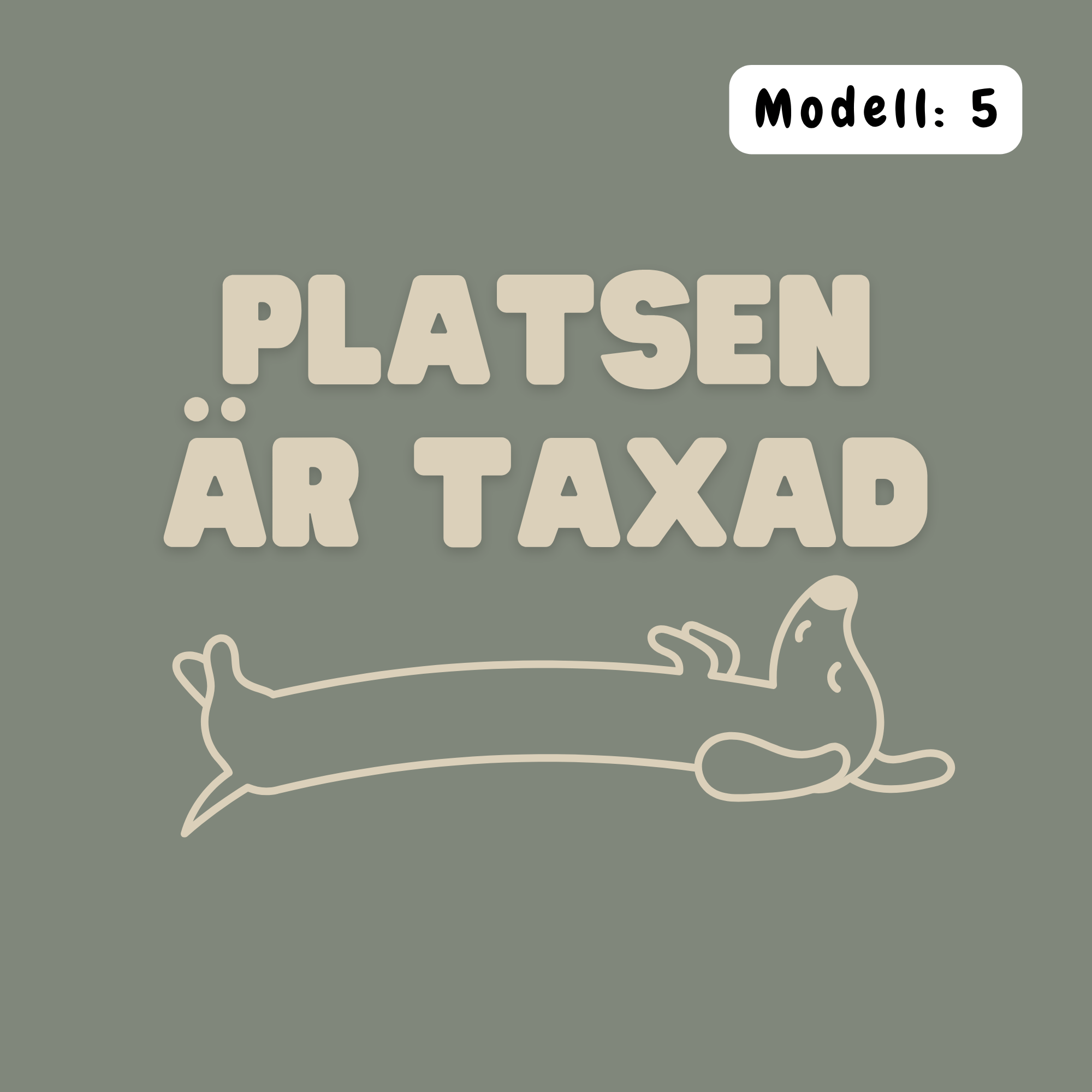 Platsen är taxad – Kuddfodral 45×45 cm Kuddfodral