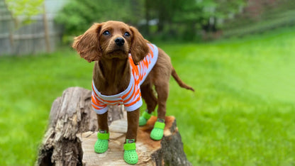 WagWellies® Mojave Neon Grön 