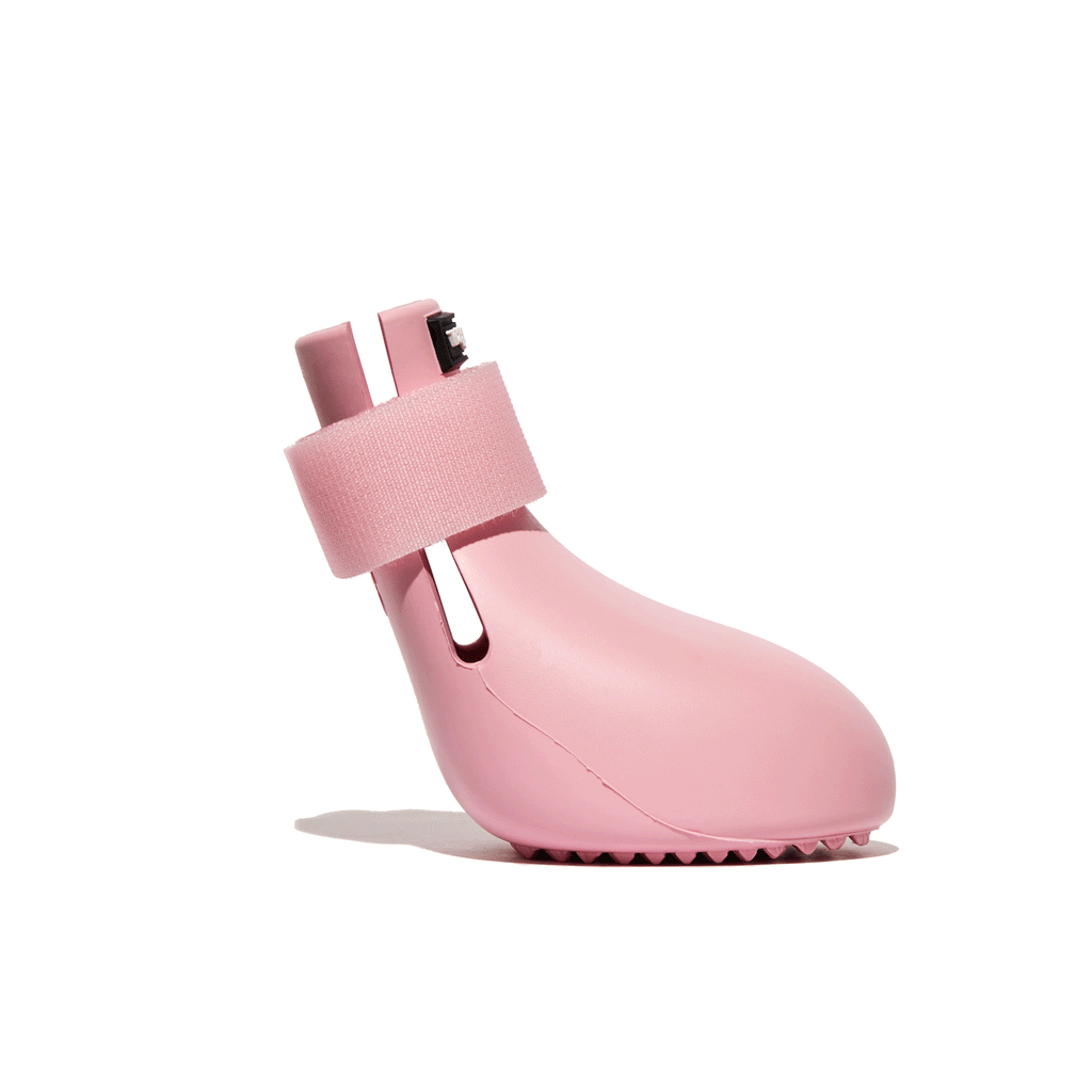 Wagwellies® hundskor Hundsko