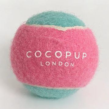 Tennisboll för hund