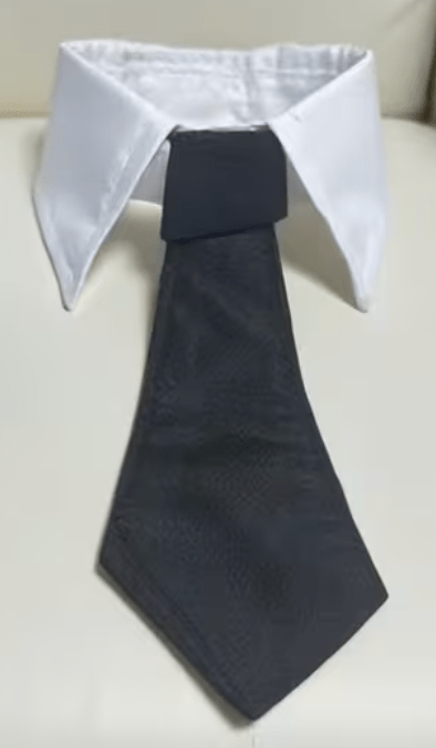 Krage med slips Accessory