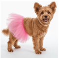 Ballerinakjol för hund Hattar & Accessoarer