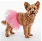 Ballerinakjol för hund Hattar & Accessoarer