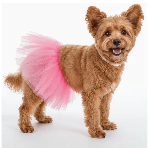 Ballerinakjol för hund Hattar & Accessoarer