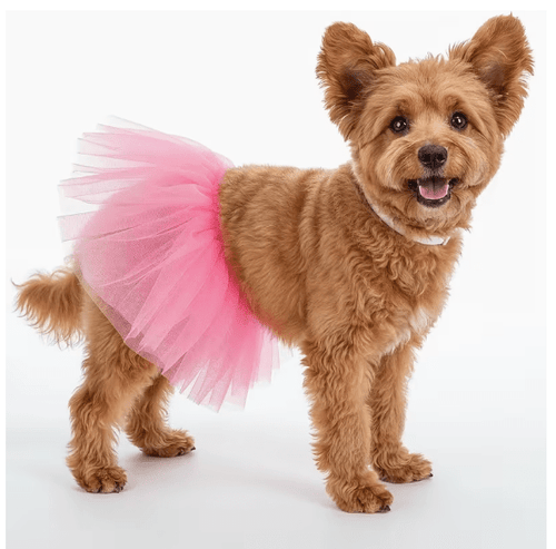 Ballerinakjol för hund Hattar & Accessoarer