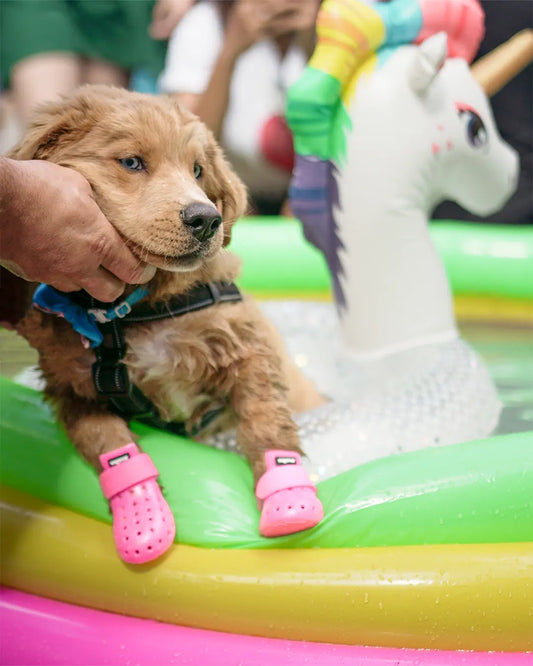 WagWellies® Mojave Neon Rosa Wagwear