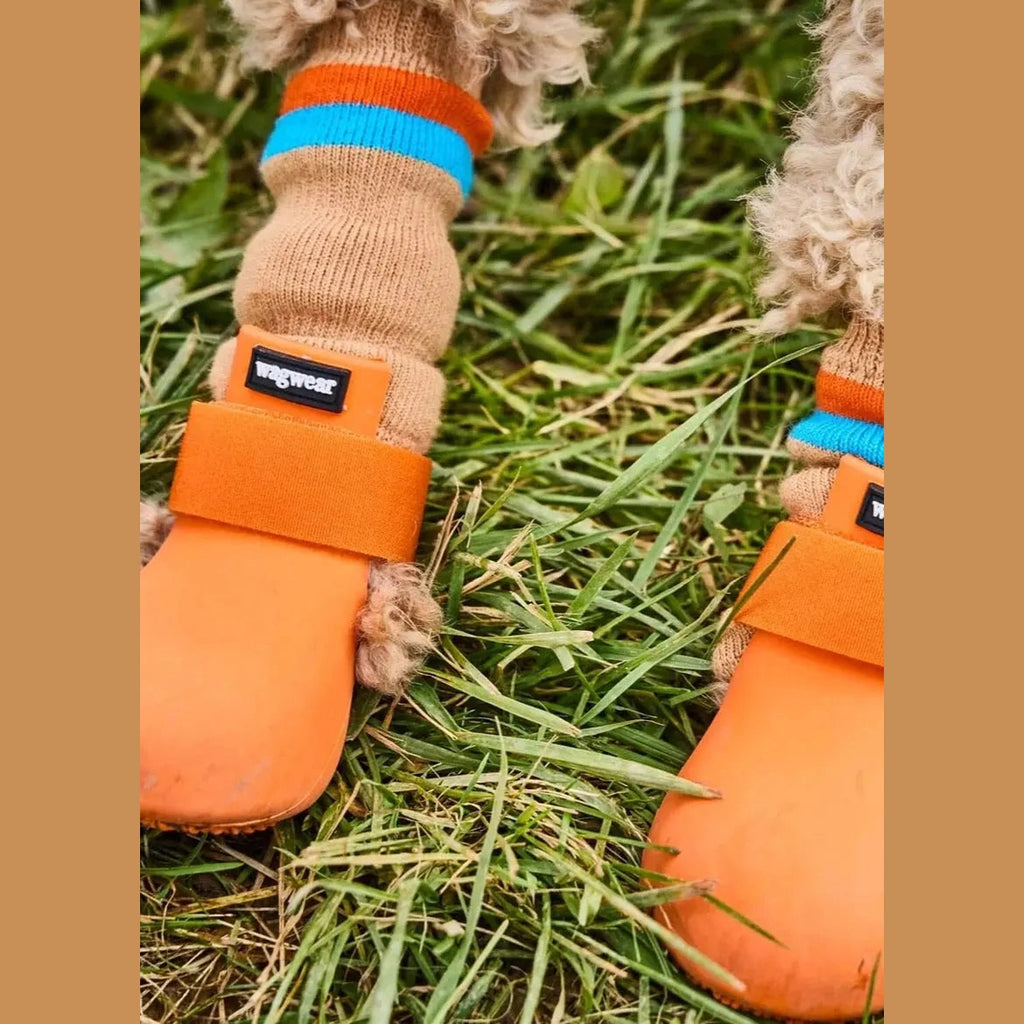 Wagwellies® hundskor Hundsko