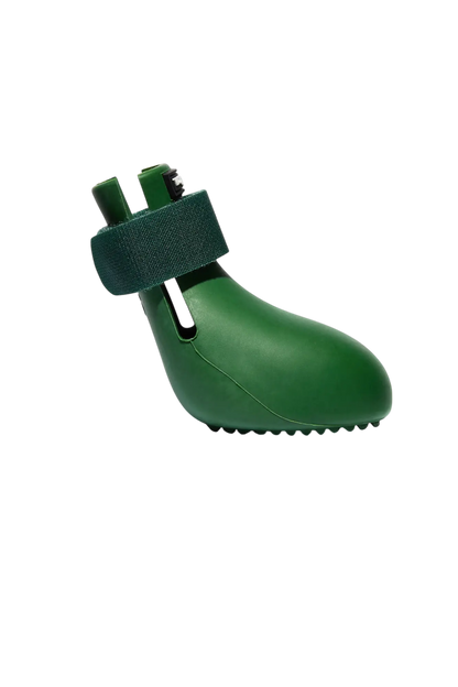 WagWellies® Grön - Wiener and Friends