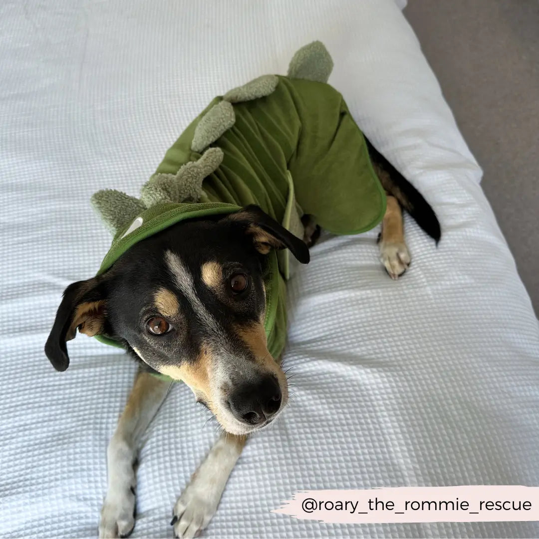 Badrock: Dinopup Cocopup London