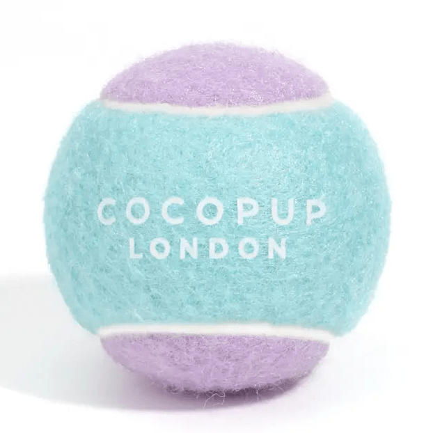 Tennisboll för hund Leksak