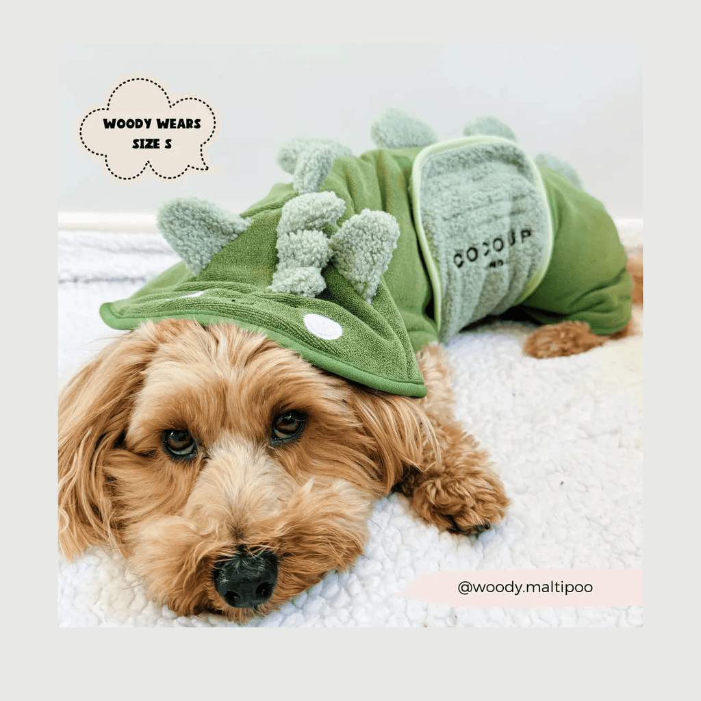 Badrock: Dinopup Badrock