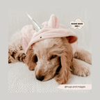 Badrock: Pupicorn Badrock