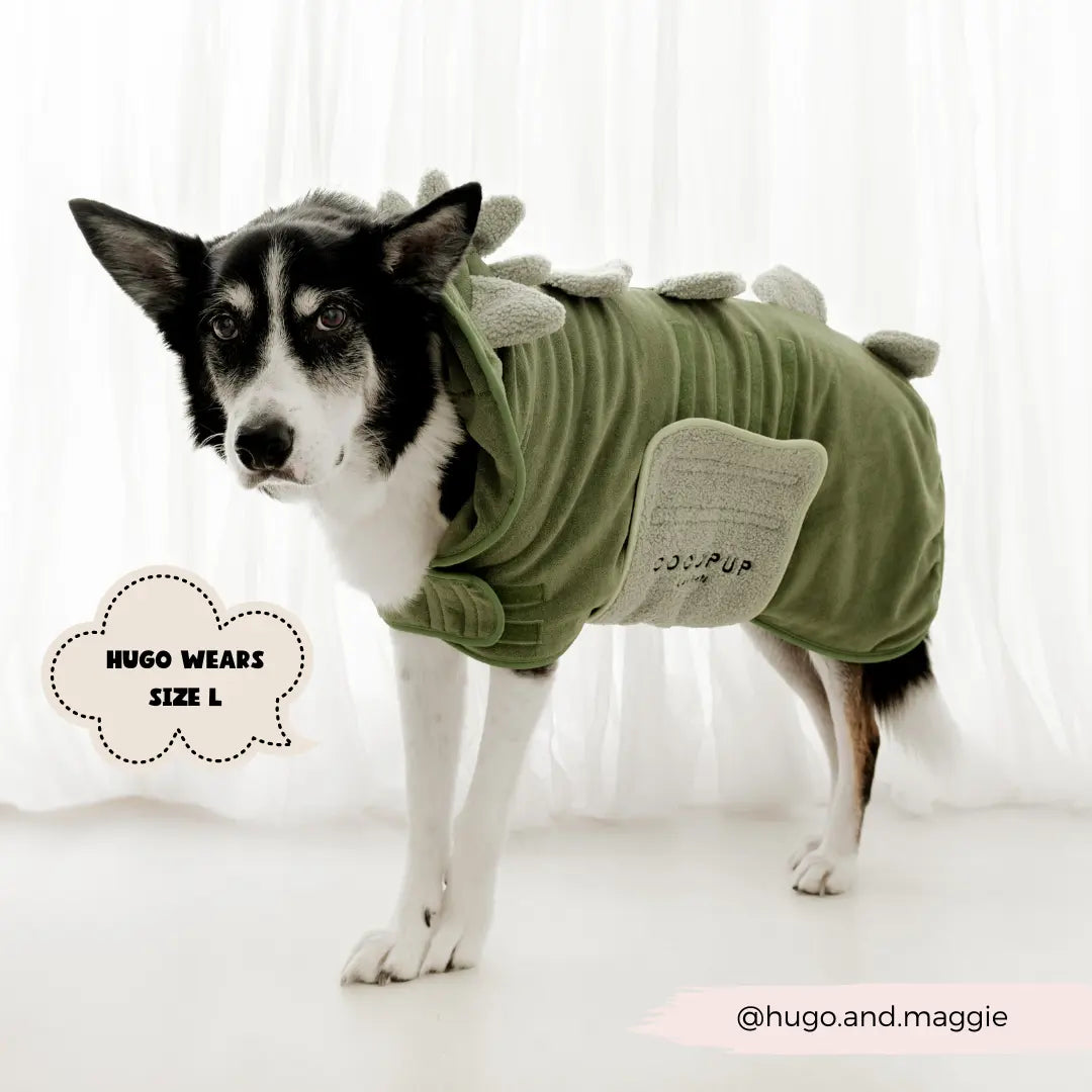 Badrock: Dinopup Badrock