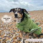 Badrock: Dinopup Badrock