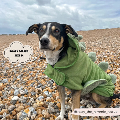 Badrock: Dinopup Cocopup London