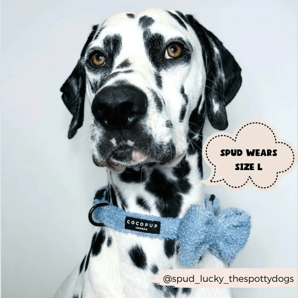 Flugor & Rosetter Flugor & Rosetter