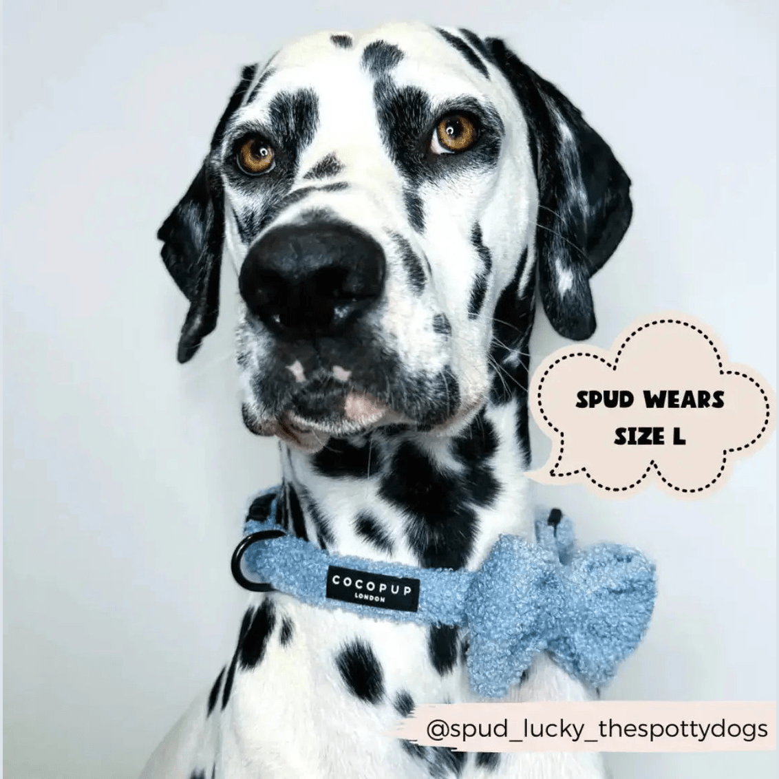 Flugor & Rosetter Flugor & Rosetter