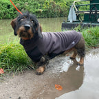 Fleecetröja för low riders! vattentät magpanel Hundtröja