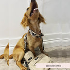 Stor hundpromenad väska samt valfri axelrem Väska kompett kit