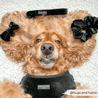 Flugor & Rosetter Flugor & Rosetter