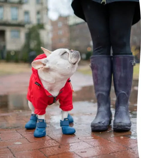 WagWellies® Marinblå - Wiener and Friends