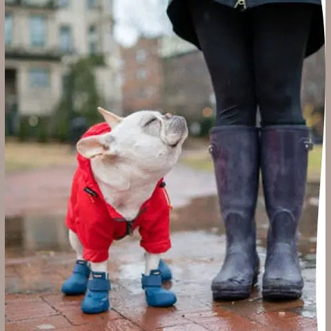 Wagwellies® hundskor Hundsko