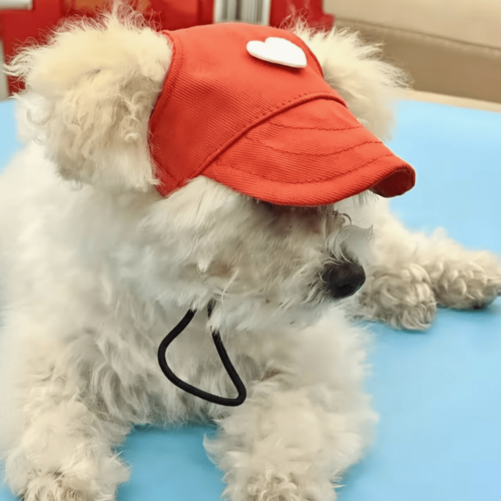 Hundkeps med hjärta Hattar & Accessoarer