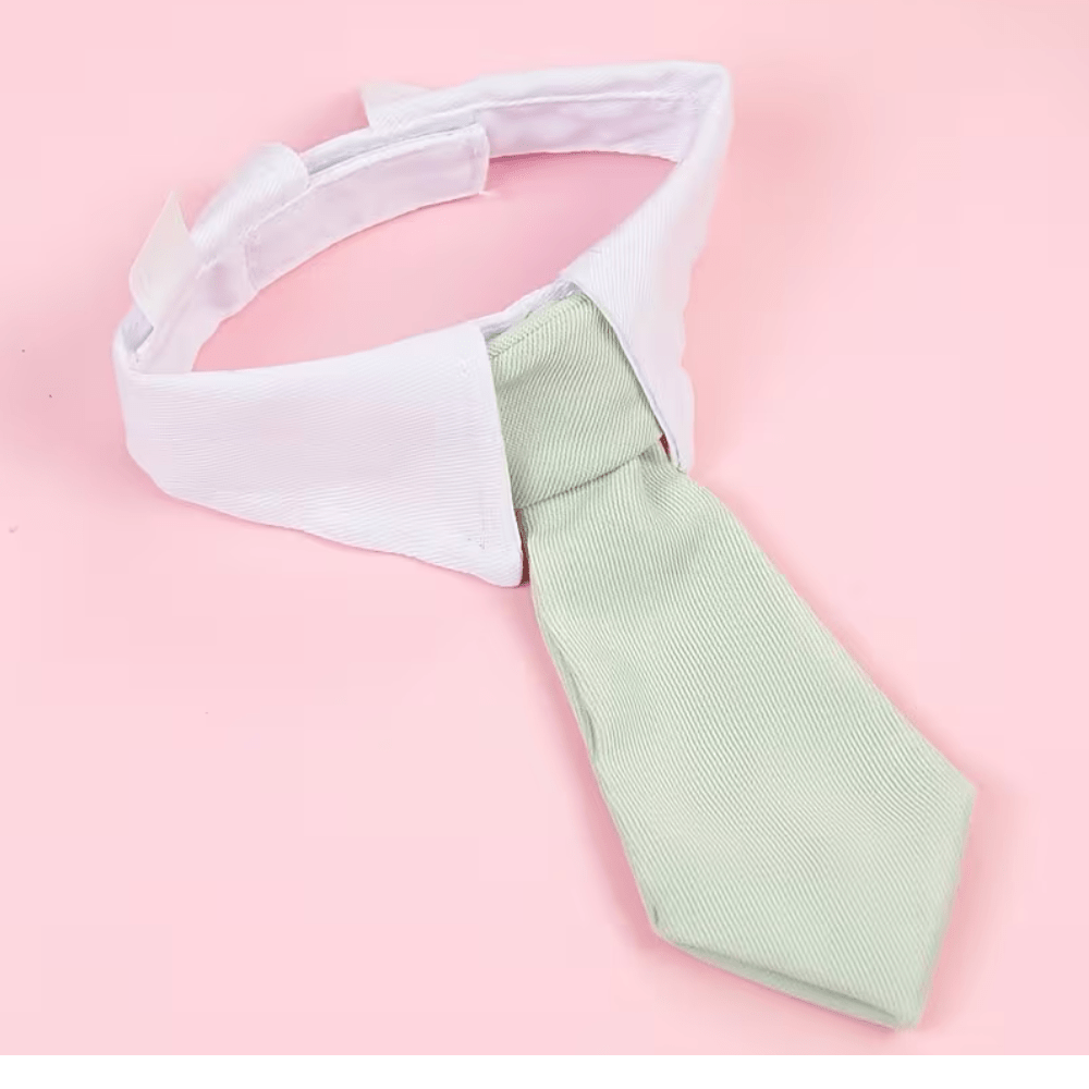 Krage med slips Accessory