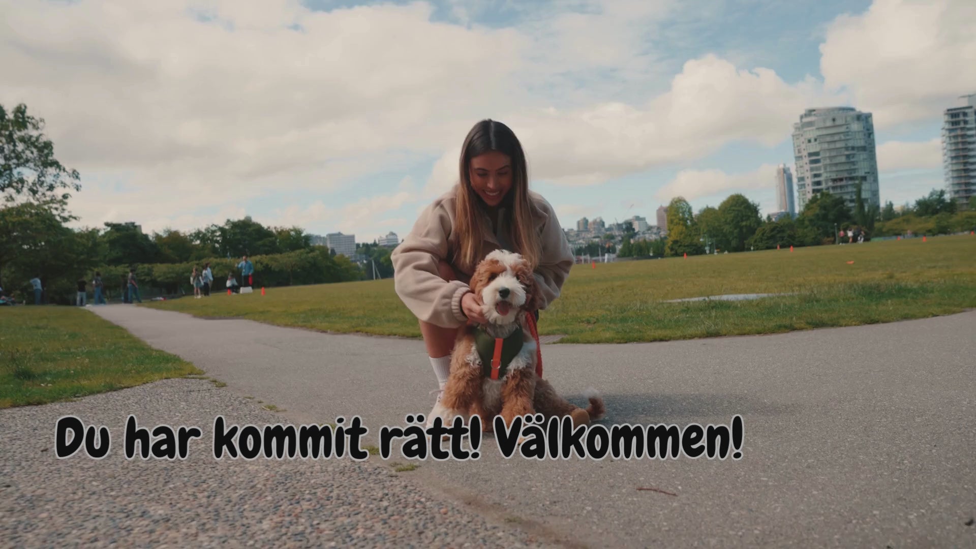 Ladda video: En matte och en hund i hundskor leker.